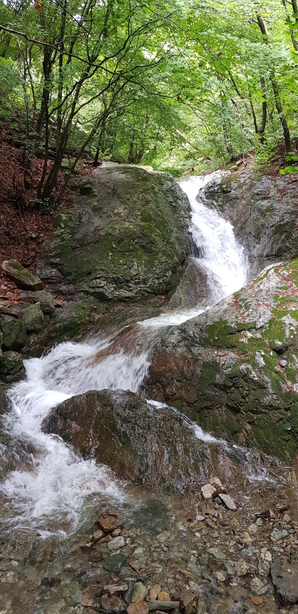 5e3ae02e85292a2455d15c9d6cf3299e_1750313363_0008.jpeg